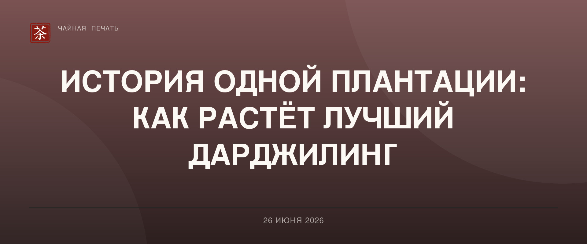 История одной плантации: как растёт лучший дарджилинг