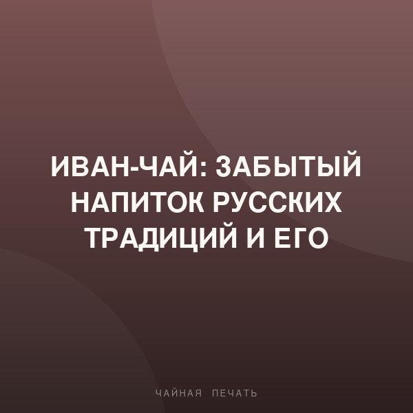 Иван-чай: забытый напиток русских традиций и его возрождение