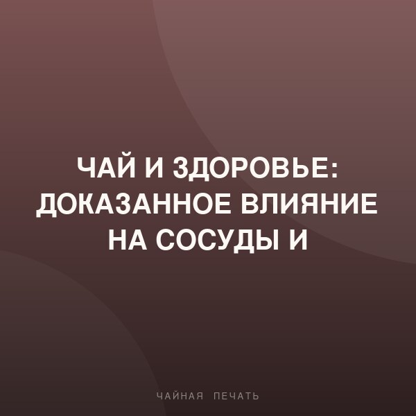 Чай и здоровье: доказанное влияние на сосуды и иммунитет